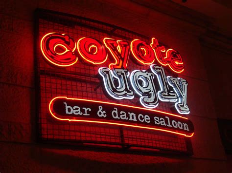 Coyote ugly casino